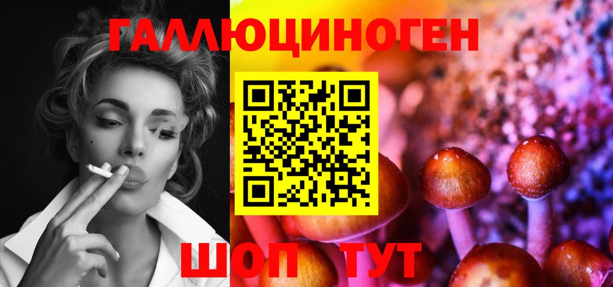 Морозовск  Псилоцибиновые грибы мицелий  Вход с VPN  Псилоцибиновые грибы мицелий 